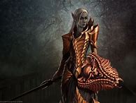 Image result for Heavy Armor Elf Warrior