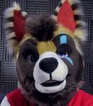 Image result for Coyote Harey