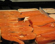 Image result for Salmon Fish Pic