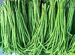 Image result for Yard Long Beans