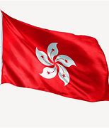 Image result for Hong Kong Balck Flag