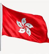 Image result for Hong Kong Flag Rectangular