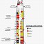 Image result for Aircraft Seating Charts