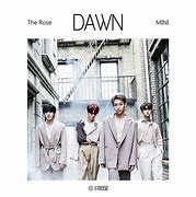 Image result for The Rose Dawn Vinyl