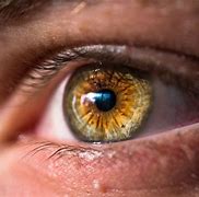 Image result for Macro Eye Photography Blou