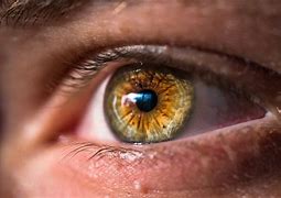 Image result for Macro Eye Photography