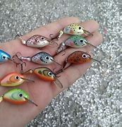 Image result for Lure Trout White