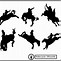 Image result for Rodeo Vector