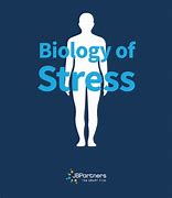 Image result for Stress Biology