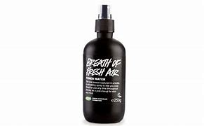 Image result for Face Mist Drugstore