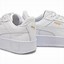 Image result for Puma Carina Grey