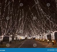 Image result for Christmas Path Lights Outdoor