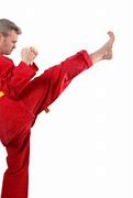 Image result for Karate Front Kick