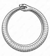 Image result for Blunt Tail Snake