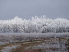 Image result for Manitoba Prairies