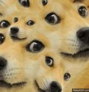 Image result for Yaco Doge GIF