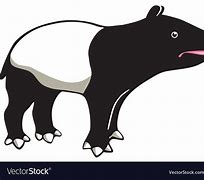 Image result for Tapir Vector