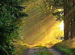 Image result for Sunny Morning Outside