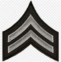 Image result for LAPD Uniform Insignia