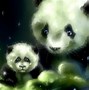 Image result for Background Wallpaper for Laptop Graffiti Panda