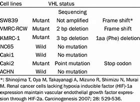 Image result for VHL Renal