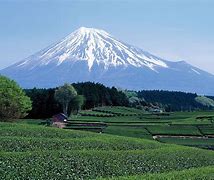 Image result for Mount Fuji Resorts