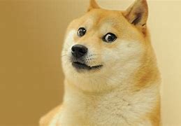 Image result for Loimu Doge