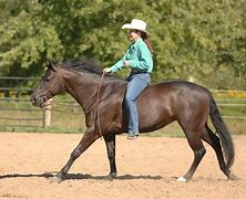 Image result for Barefoot Horse Riding