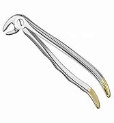 Image result for Cupped Forceps