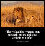 Image result for Proverbs 28 1