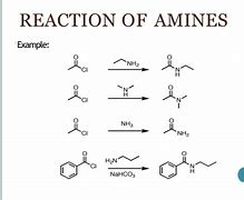 Image result for Aromatic Amine