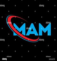 Image result for Logo Scrap Mam