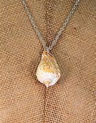 Image result for Beach Shell Jewelry