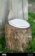 Image result for Toilet Seat Tree