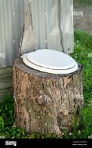 Image result for Toilet Seat Tree