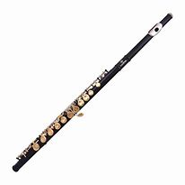 Image result for Flute Baja