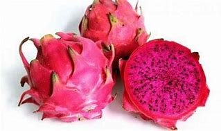 Image result for Gambar Buah Naga Kartiun