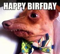 Image result for Puppy Birthday Meme