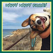 Image result for Happy Friday Cute Animals