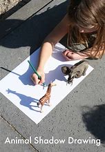 Image result for Animal Shadow Drawing