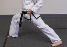 Image result for Karate Front Stance