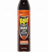 Image result for Raid Ant Spray