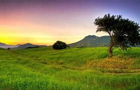 Image result for Beautiful Summer Country Backgrounds