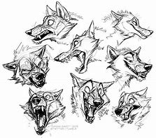 Image result for Wolf Teeth Drawing