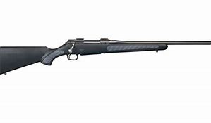 Image result for 243 Bolt Action Rifle