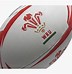 Image result for Welsh Rugby Ball