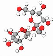 Image result for What Is Sucrose