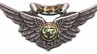 Image result for Pilot Aircrew Wings