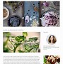 Image result for Food Web Template