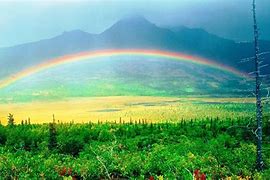 Image result for Rainbow 4K HD Images